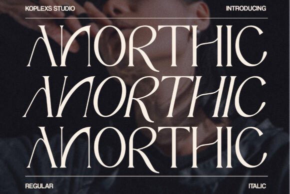 Anorthic: A Modern Serif Font That Elevates Real Small Business Branding
