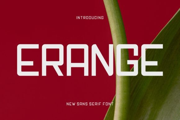 Erange: A Friendly, Stylish Sans Serif for Digital Brands