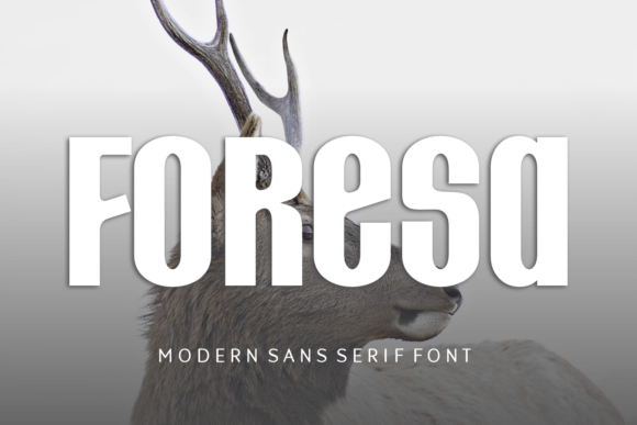 Foresa: A Modern Sans Serif Font That Elevates Real Small Business Branding