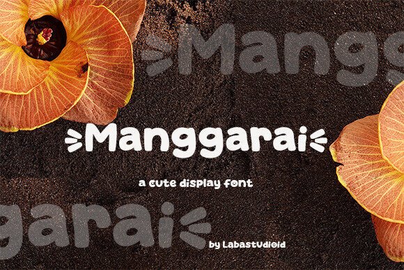 Manggarai: A Display Font That Strengthens Your Brand Identity