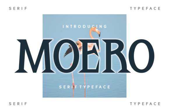 Moero Serif Font for Professional Branding