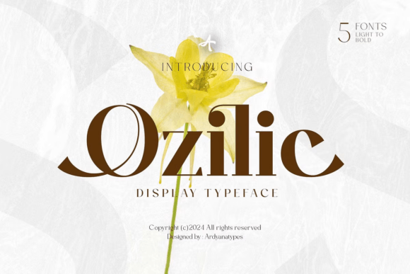 Ozilic: A Serif That Speaks With Quiet Authority