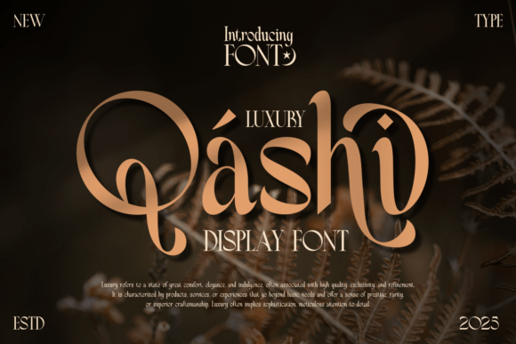Qashi: A Modern Serif Font That Elevates Digital Branding