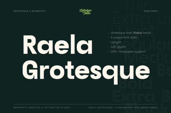 Raela Grotesque: A Clean, Versatile Font for Modern Web Design